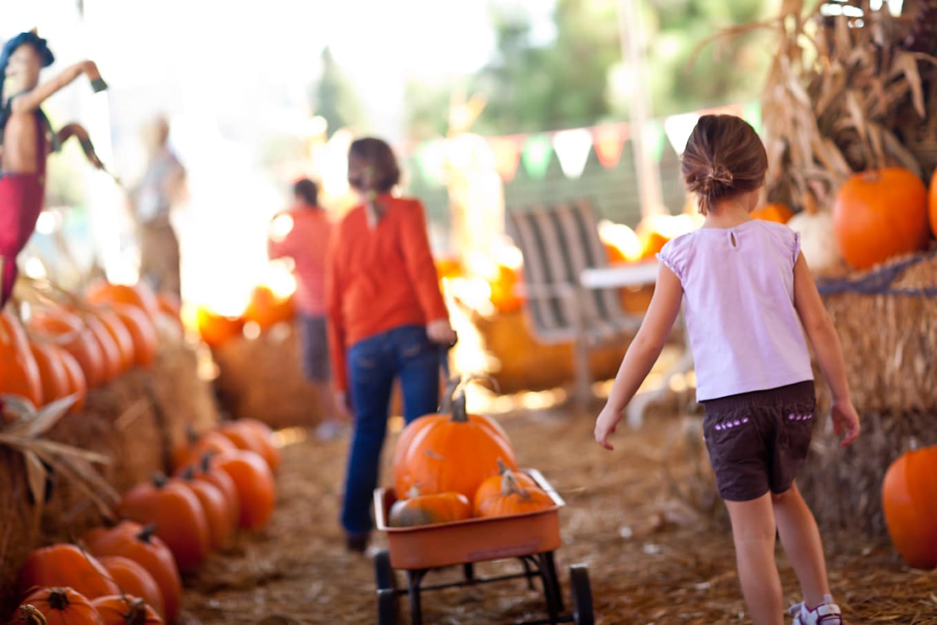 If you're on a quest to make the most of this season with your family in budget-friendly ways, here is a list of 10 Ways to Enjoy Simple Fall Family Fun! #family #parenting #fall #fallactivities #fallfun #kids Children Picking Pumpkins