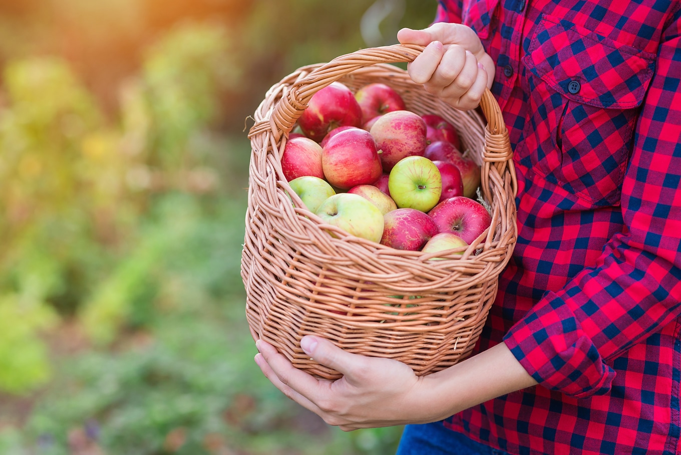 If you're on a quest to make the most of this season with your family in budget-friendly ways, here is a list of 10 Ways to Enjoy Simple Fall Family Fun! #family #parenting #fall #fallactivities #fallfun #kids Woman Holding Basket of Apples for Fall Fun