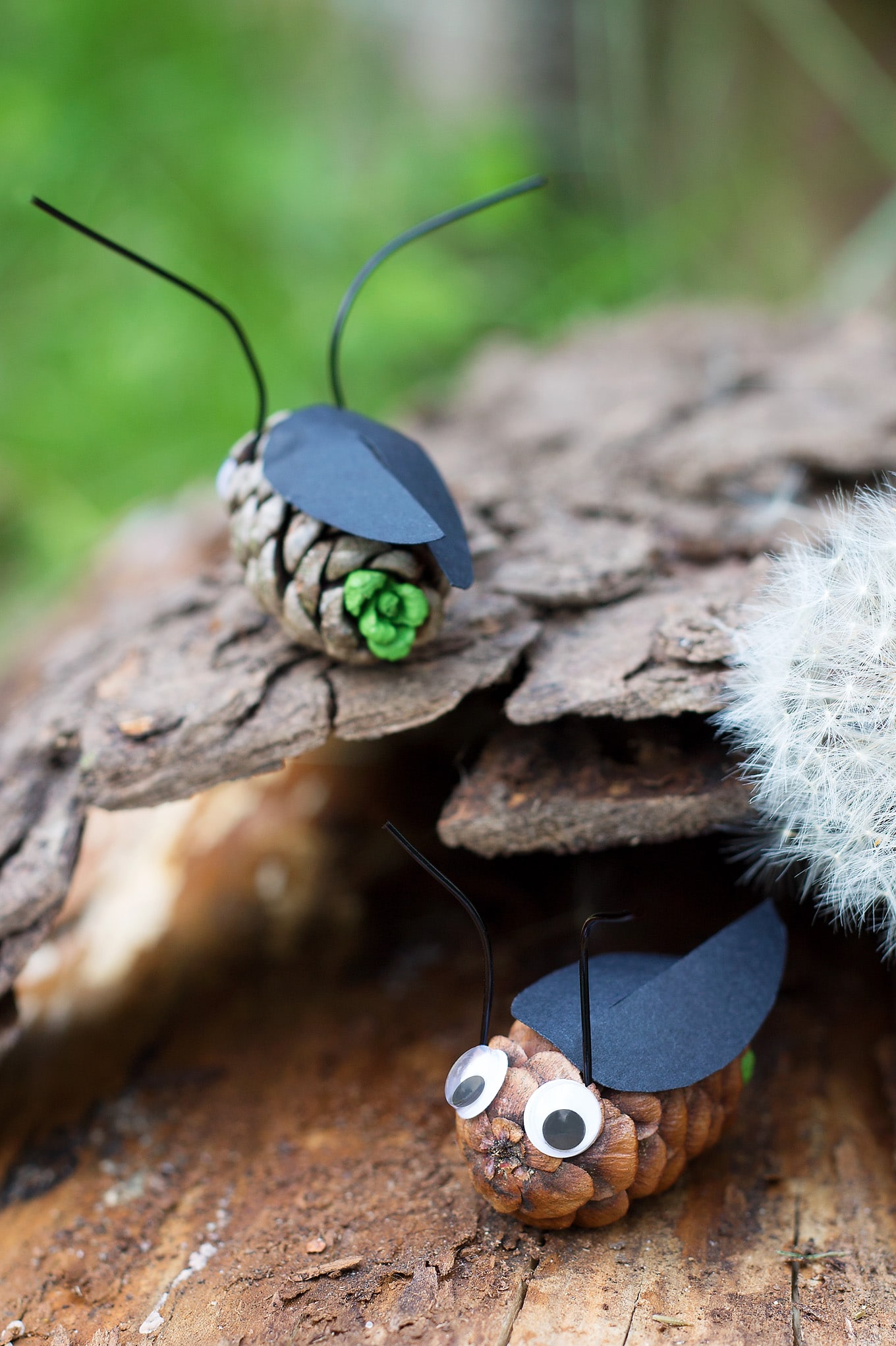 Pine Cone Fireflies