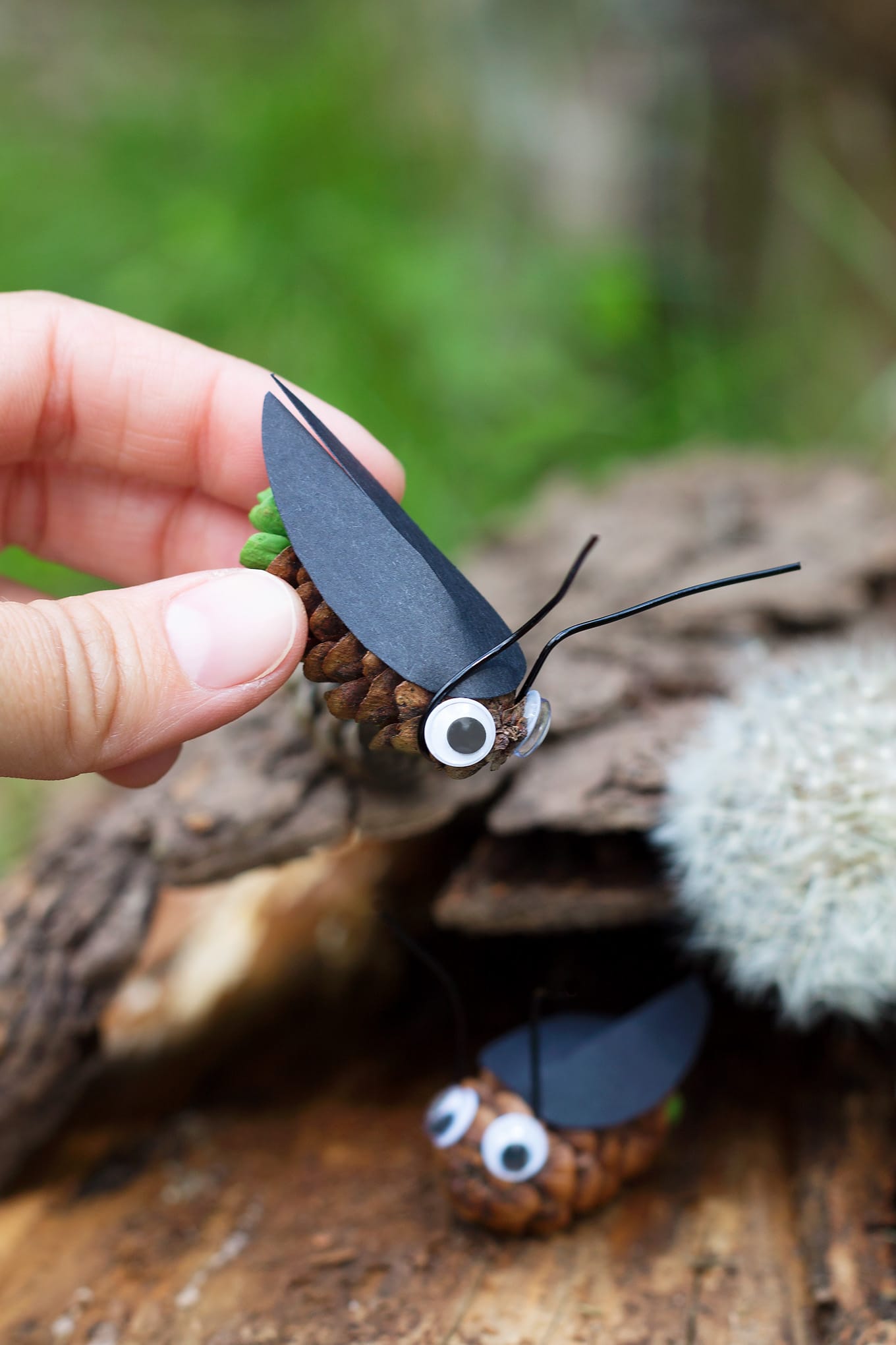 Pine Cone Fireflies