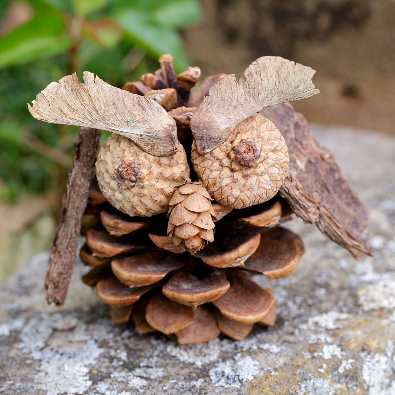 Pine Cone Owl Craft