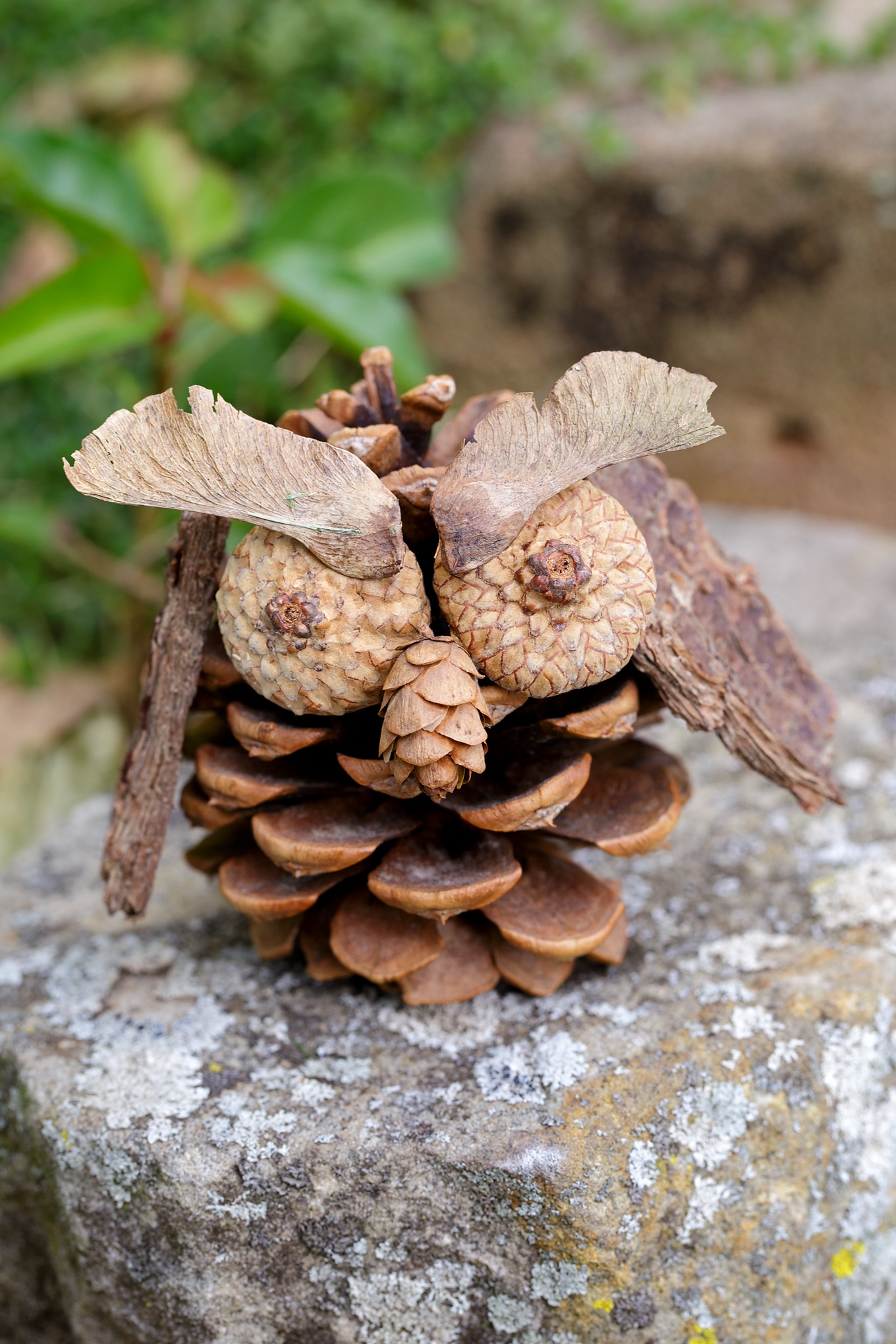 Pine Cone Owl Fall Nature Craft for Kids