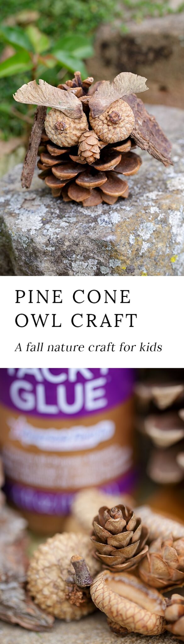 Fall is the perfect season for nature crafting! Kids will love being creative with acorns, pinecones, twigs, bark, and seeds to create one-of-a-kind Pinecone Owls.