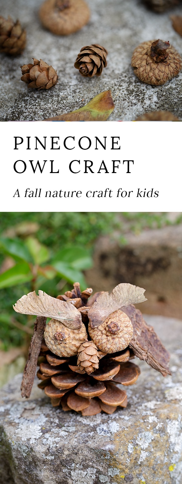 Fall is the perfect season for crafting! Kids will love being creative with acorns, pinecones, twigs, bark, and seeds to create one-of-a-kind Pinecone Owls.