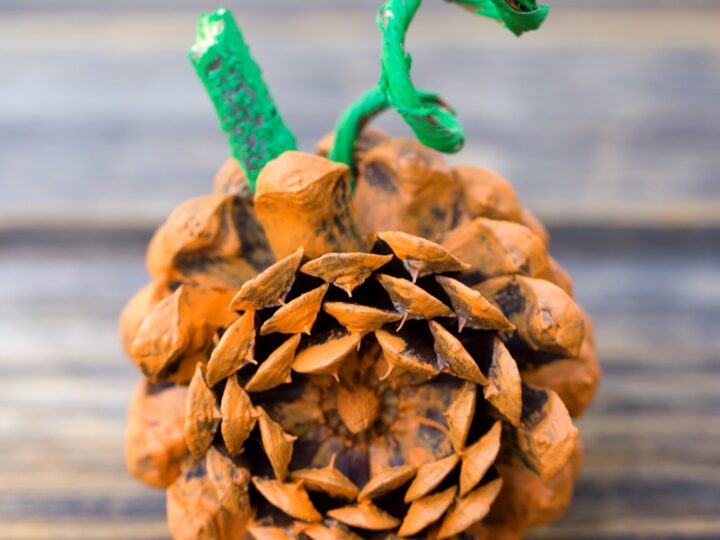 Pine Cone Pumpkin