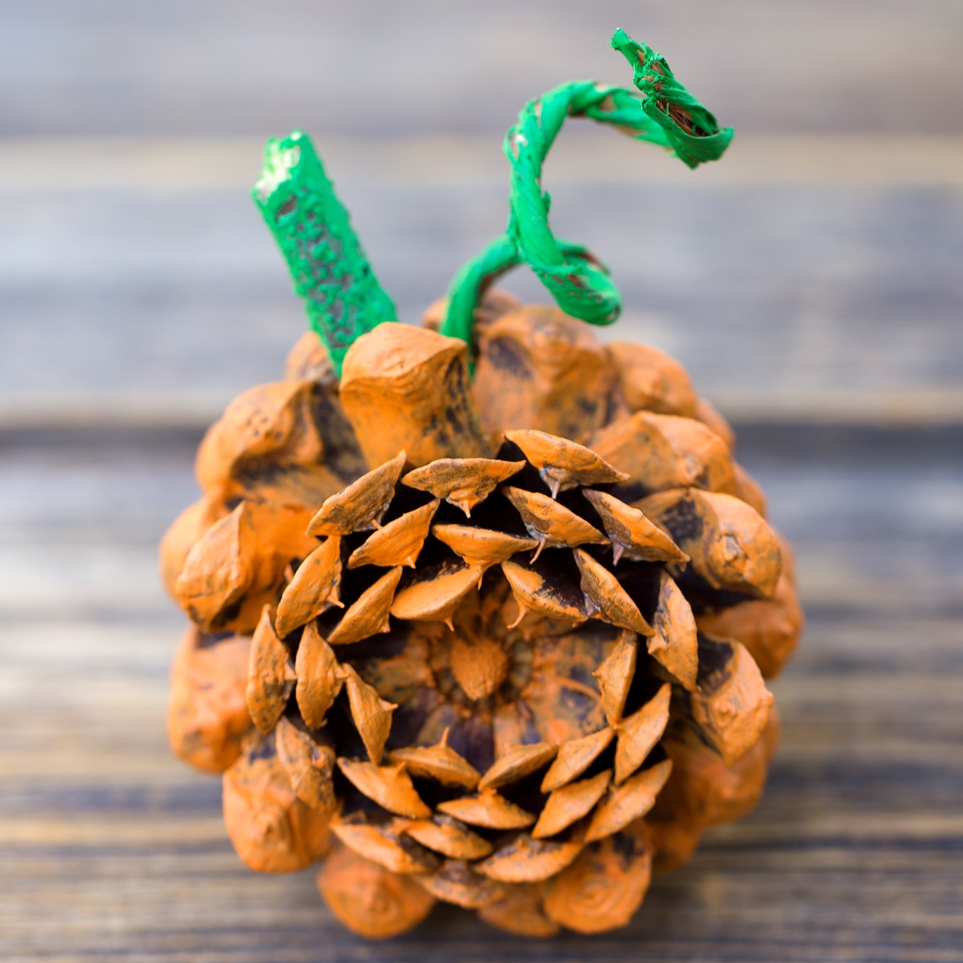 Pine Cone Pumpkin  Pine Cone Pumpkin Nature Craft