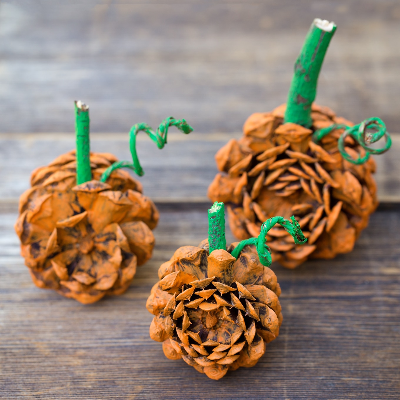 Rustic Pine Cone Pumpkins Rustic Pine Cone Pumpkins