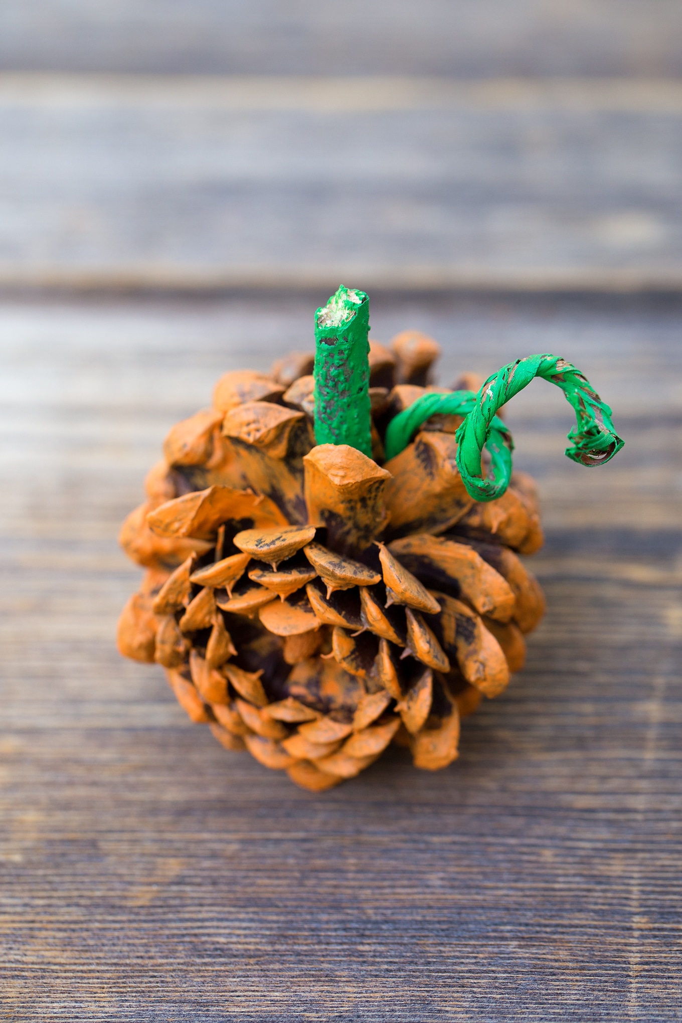 Easy and Fun Fall Pine Cone Pumpkin Nature Craft Easy and Fun Fall Pine Cone Pumpkin Nature Craft