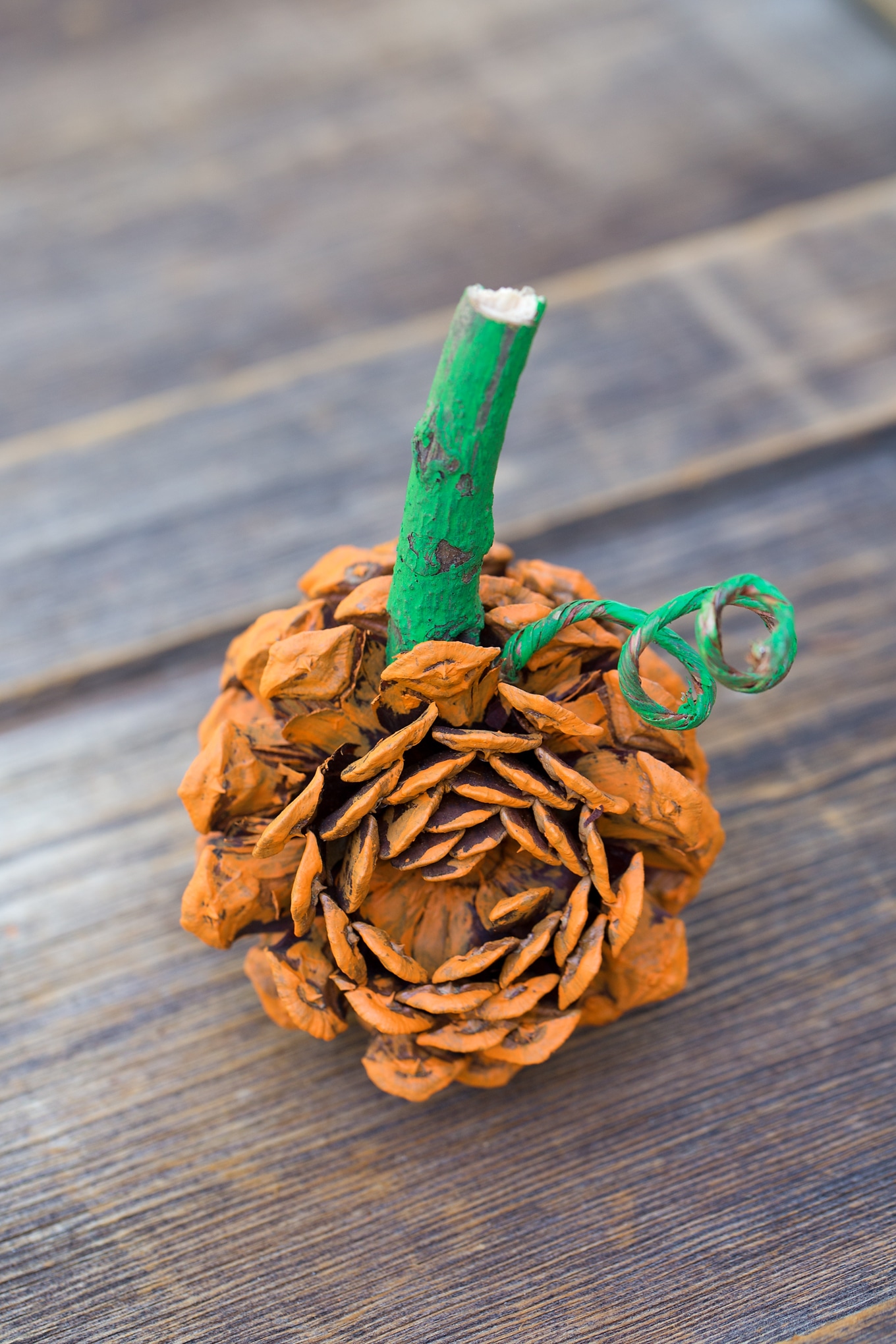 Make a Pine Cone Pumpkin Make a Pine Cone Pumpkin
