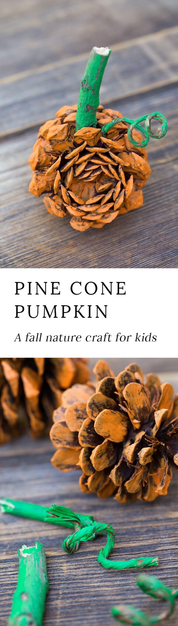 Learn how to make a rustic pine cone pumpkin with pine cones, sticks, and naturally wired wire. This easy fall nature craft is perfect for kids of all ages.