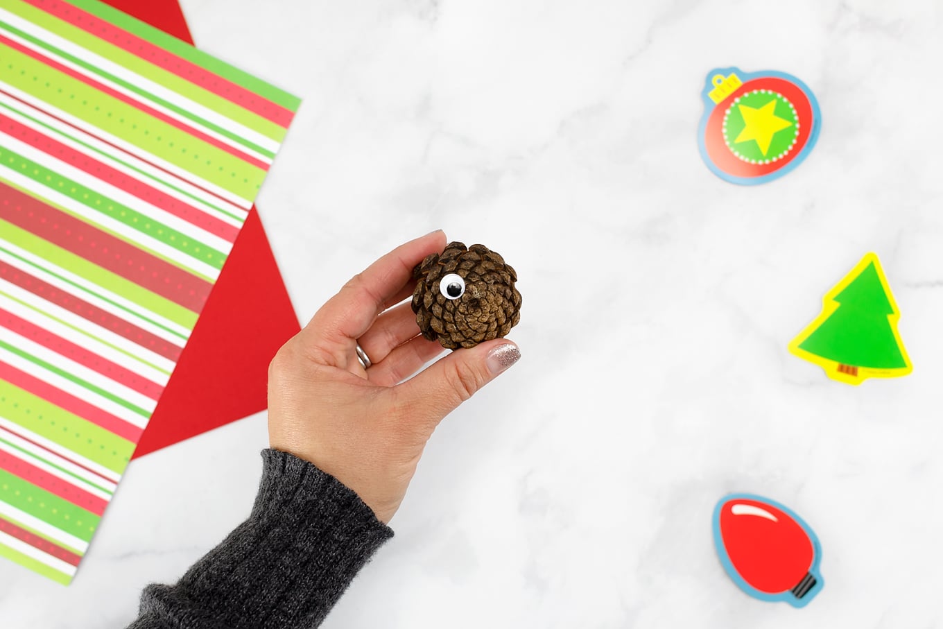 Hand Holding Pine Cone for Craft Hand Holding Pine Cone for Craft