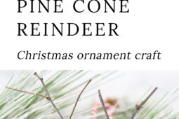 Pinterest Hidden Image