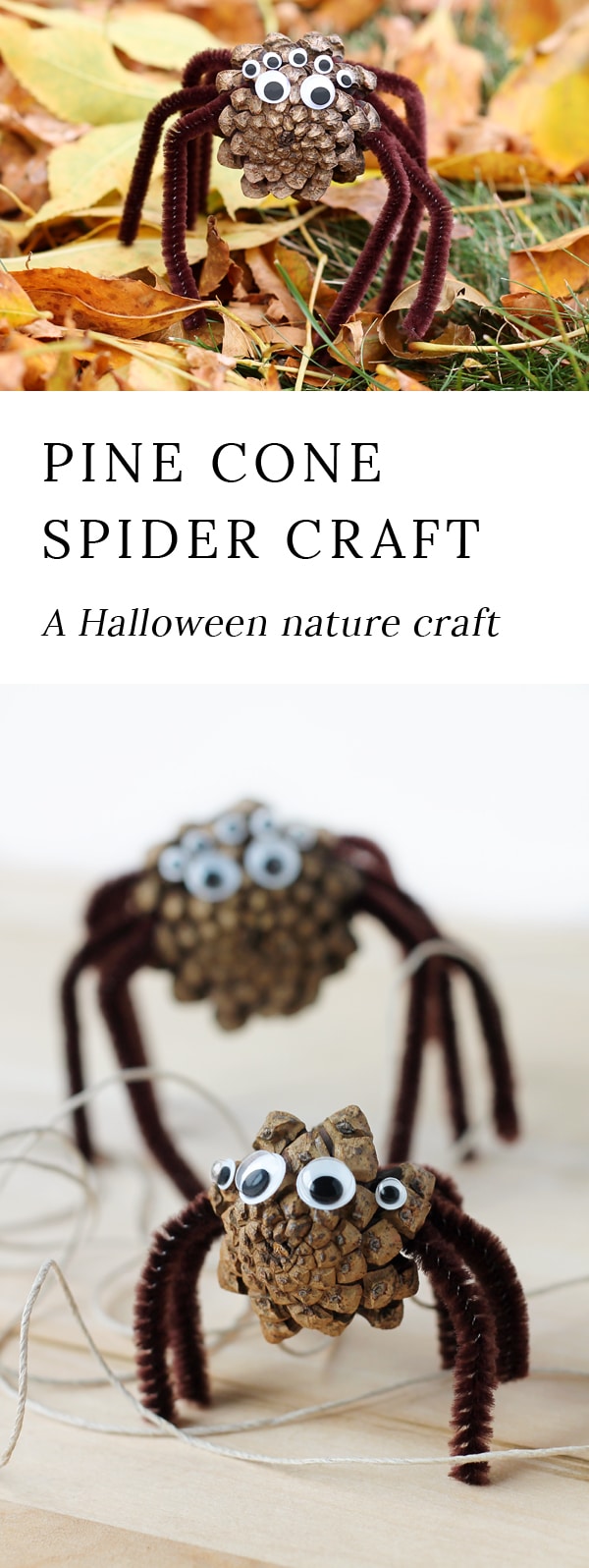 Kids of all ages will enjoy making Pine Cone Spiders. They are the perfect Halloween nature craft for kids!