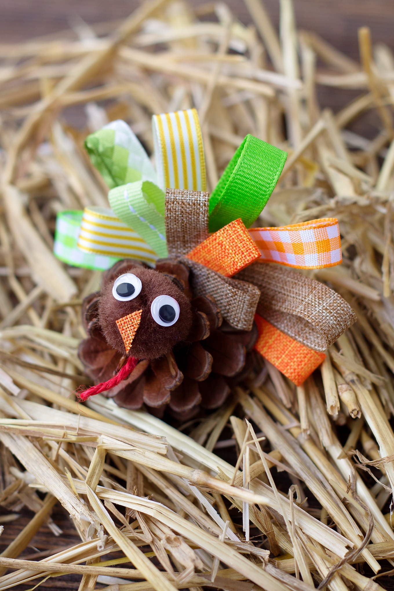 Pine Cone Turkey Craft Just in time for Thanksgiving, learn how to make Scrap Ribbon Pine Cone Turkeys from ribbon, pine cones, and pom poms. It's the perfect nature craft for kids!