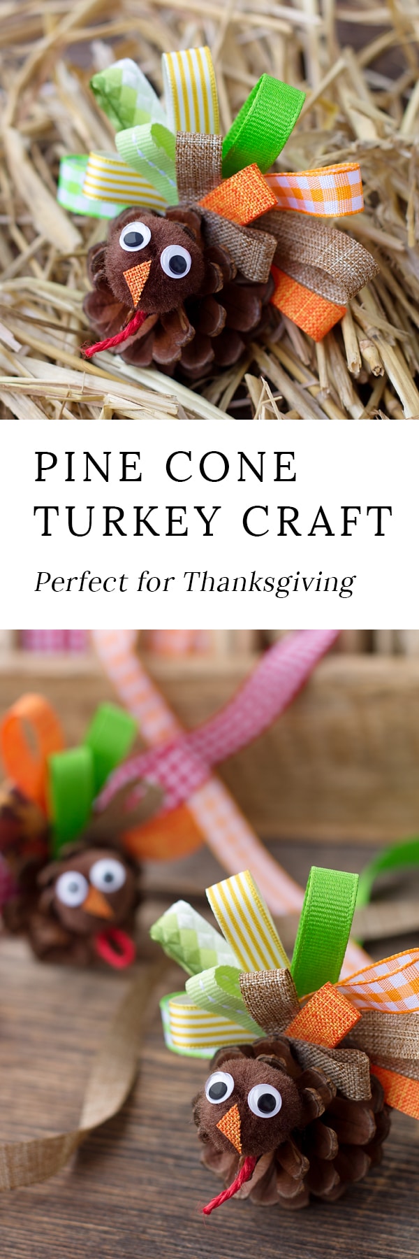 Just in time for Thanksgiving, learn how to make Scrap Ribbon Pine Cone Turkeys from ribbon, pine cones, and pom poms. It's the perfect nature craft for kids!