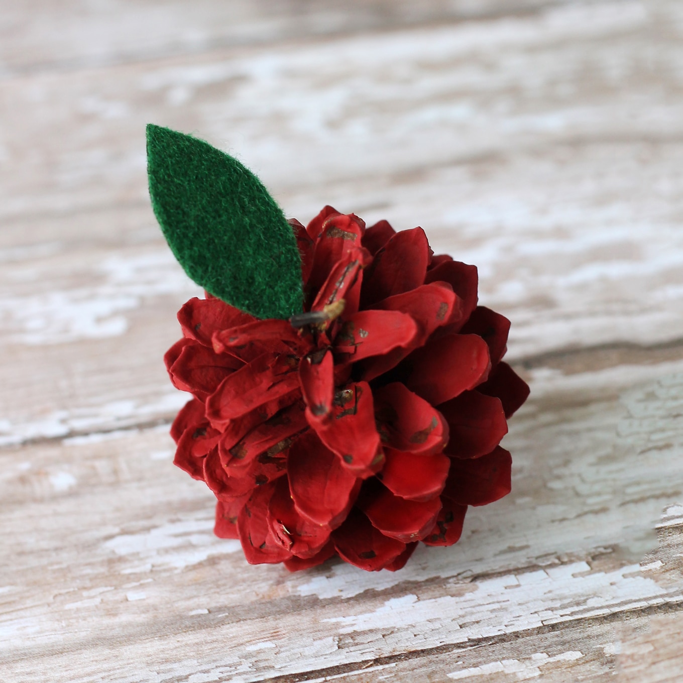 Kids of all ages will enjoy making pine cone apples. They are a creative, colorful fall nature craft for kids!
