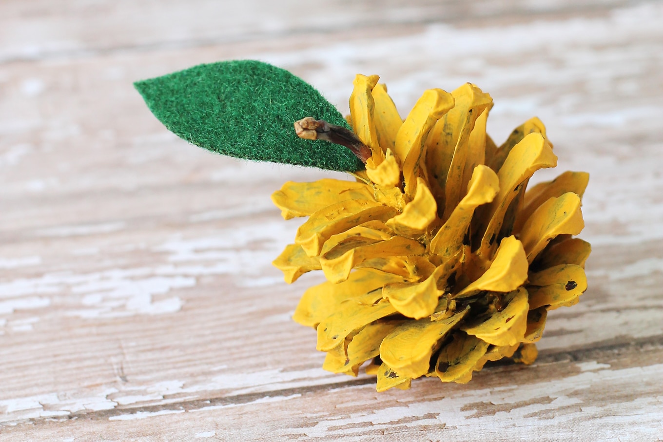 Kids of all ages will enjoy making pine cone apples. They are a creative, colorful fall nature craft for kids!