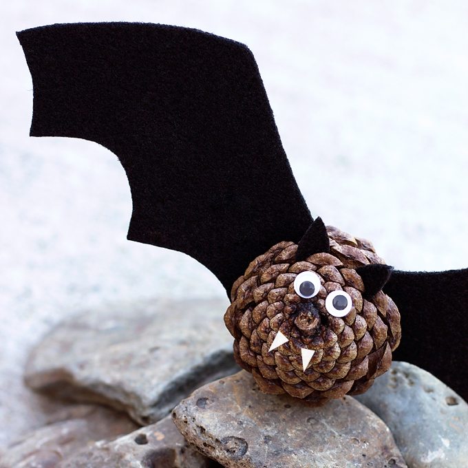Pinecone Bats