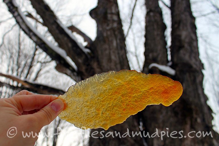 Sugar on Snow | Fireflies and Mud Pies