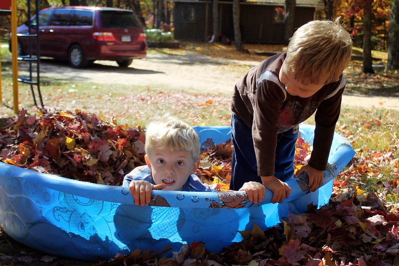 Swimming in Leaves