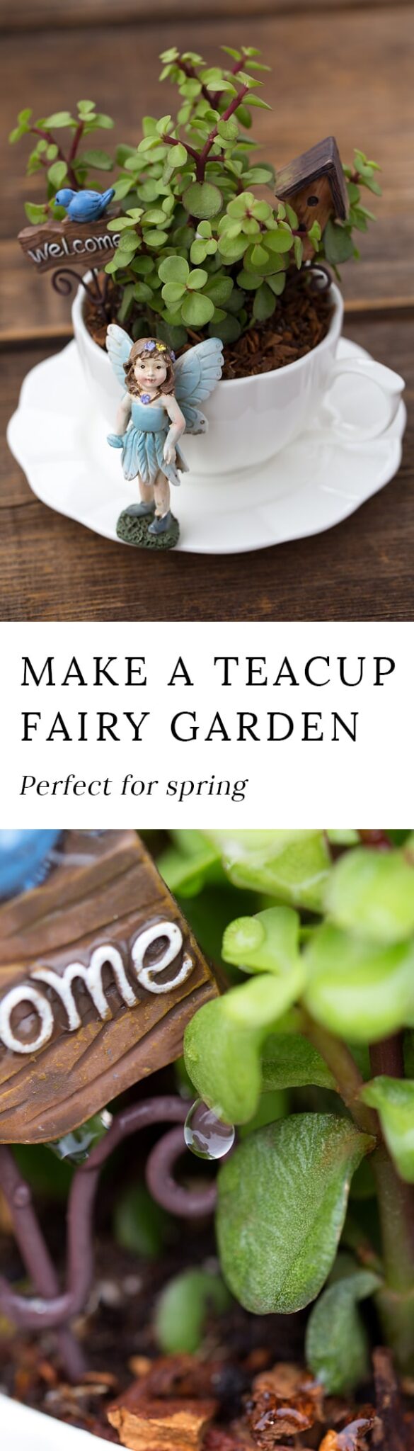 Bring the magic of fairies inside your home with a miniature teacup fairy garden. Perfect for Mother's Day, birthday parties, and sunny windows!