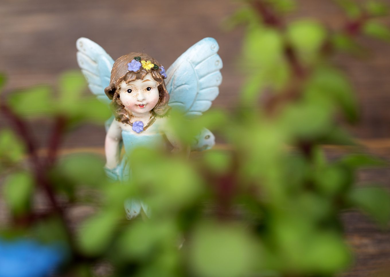 Bring the magic of fairies inside your home with a miniature teacup fairy garden. Perfect for Mother's Day, birthday parties, and sunny windows!