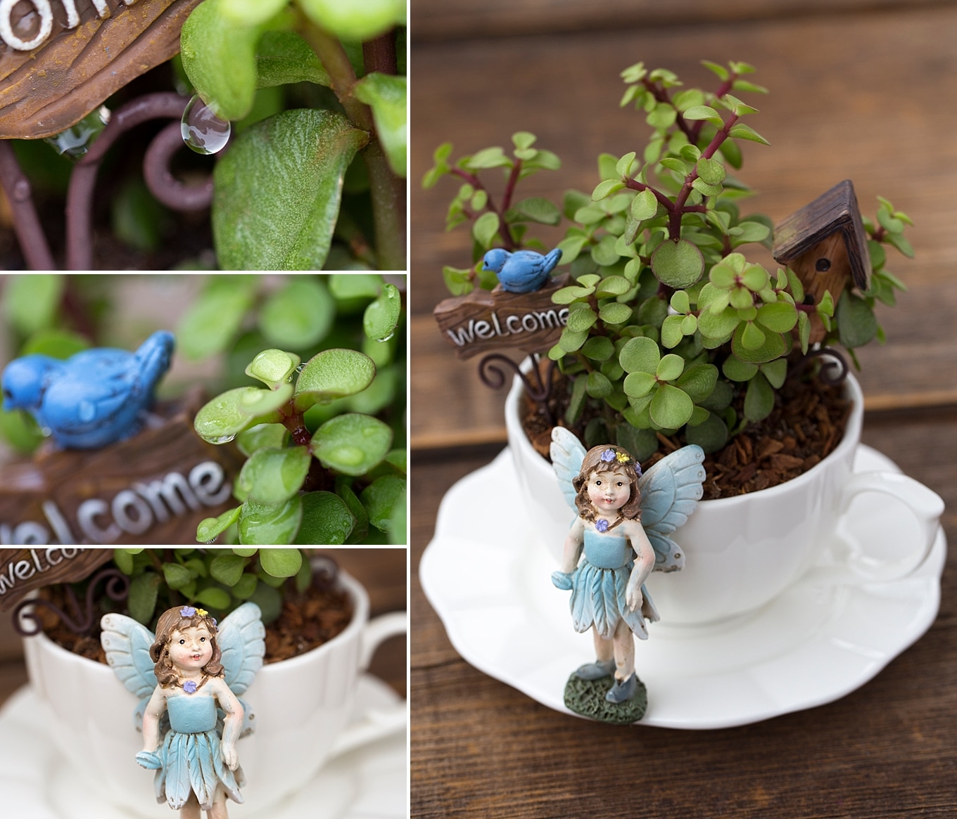 Teacup Fairy Garden