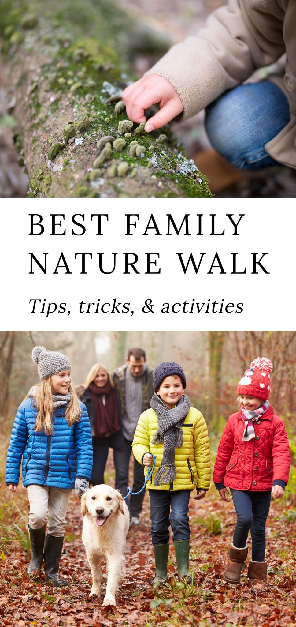 Tips and Tricks for the Best Family Nature Walks Tips and Tricks for the Best Family Nature Walks