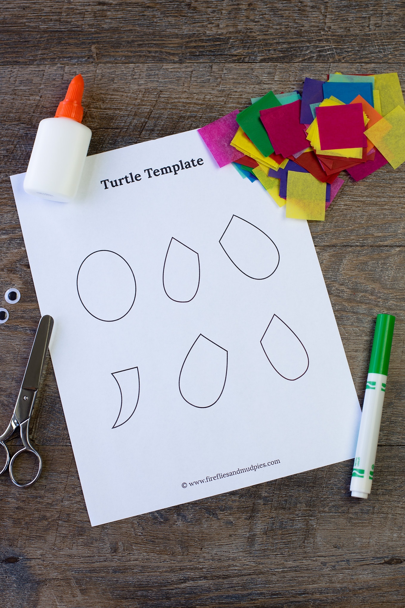 tissue paper and paper plate turtle craft