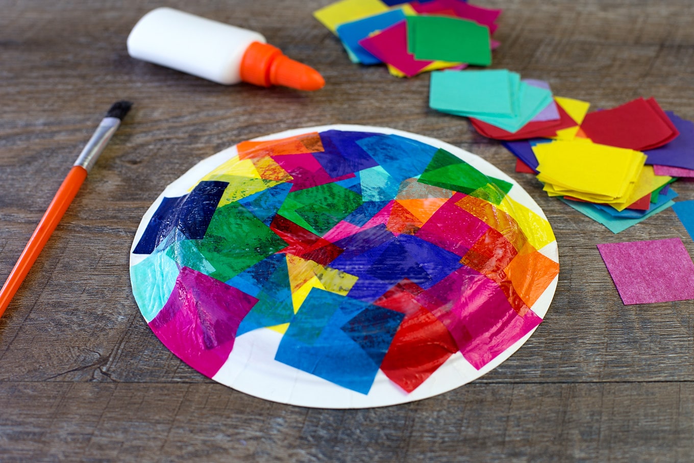 Tissue Paper And Paper Plate Turtle Craft