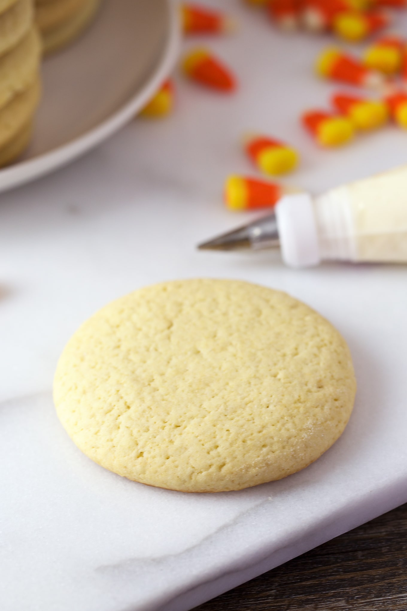Turkey Sugar Cookies are a playful treat for November. Guaranteed to please kids of all ages, they are fun to make for parties, lunch boxes, and play dates.