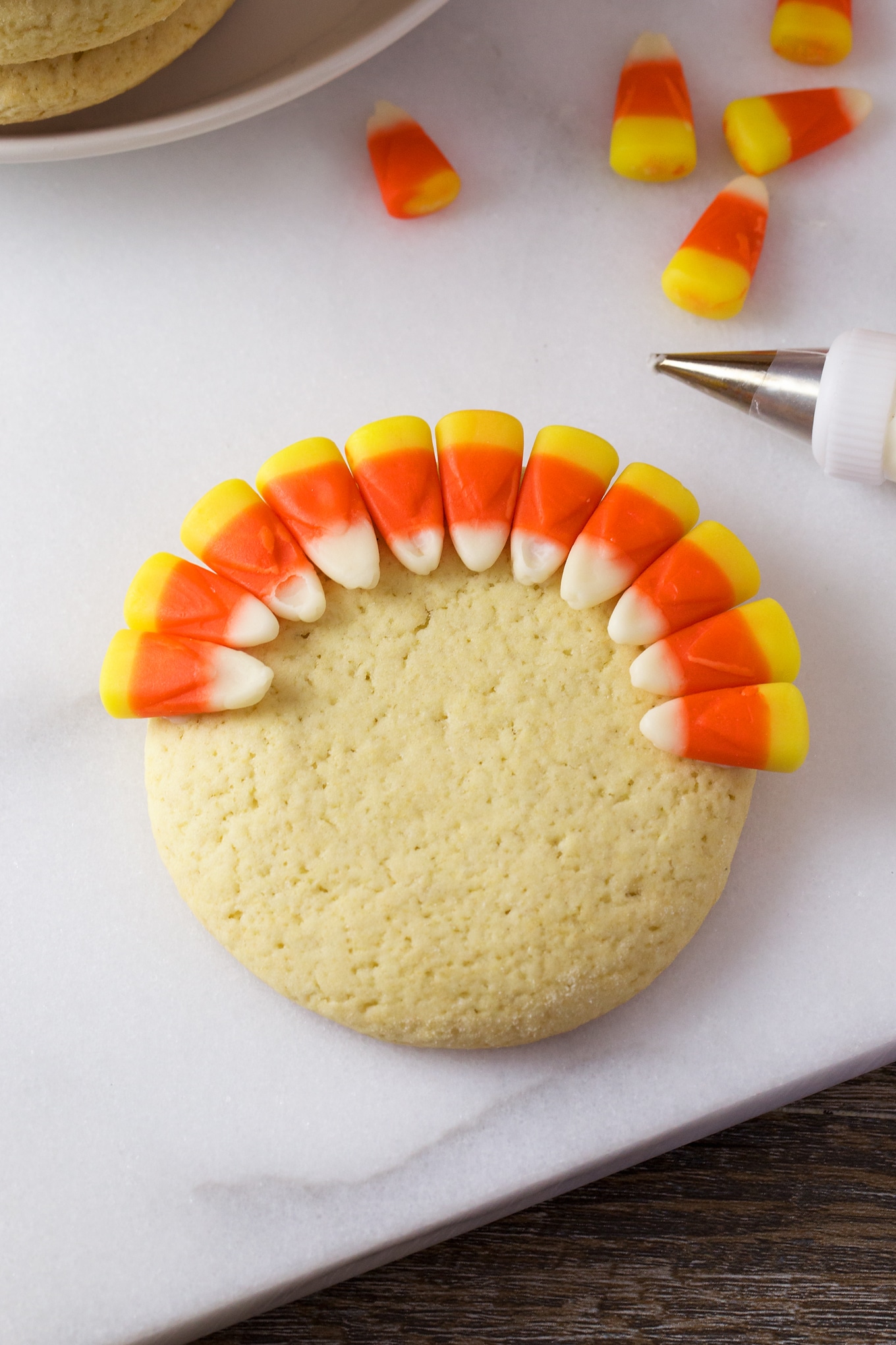 Turkey Sugar Cookies are a playful treat for November. Guaranteed to please kids of all ages, they are fun to make for parties, lunch boxes, and play dates.