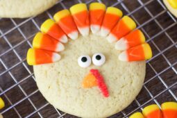 Turkey Cookies