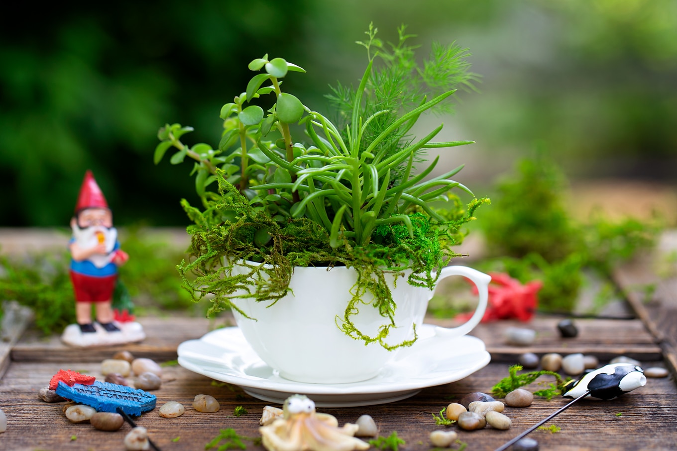 Summer is the perfect season for teacup fairy gardens! Whether kids are learning about the ocean, summer, gardening, or simply enjoying a creative nature activity at home, this easy and fun Under the Sea Teacup Garden is simply perfect for imaginative play. #teacupfairygarden #teacupfairygardenideas #howtomakeateacupfairygarden #summercraftideas #fairygarden #fairygardening #fairygardenkids White Teacup Filled with Succulents and Moss