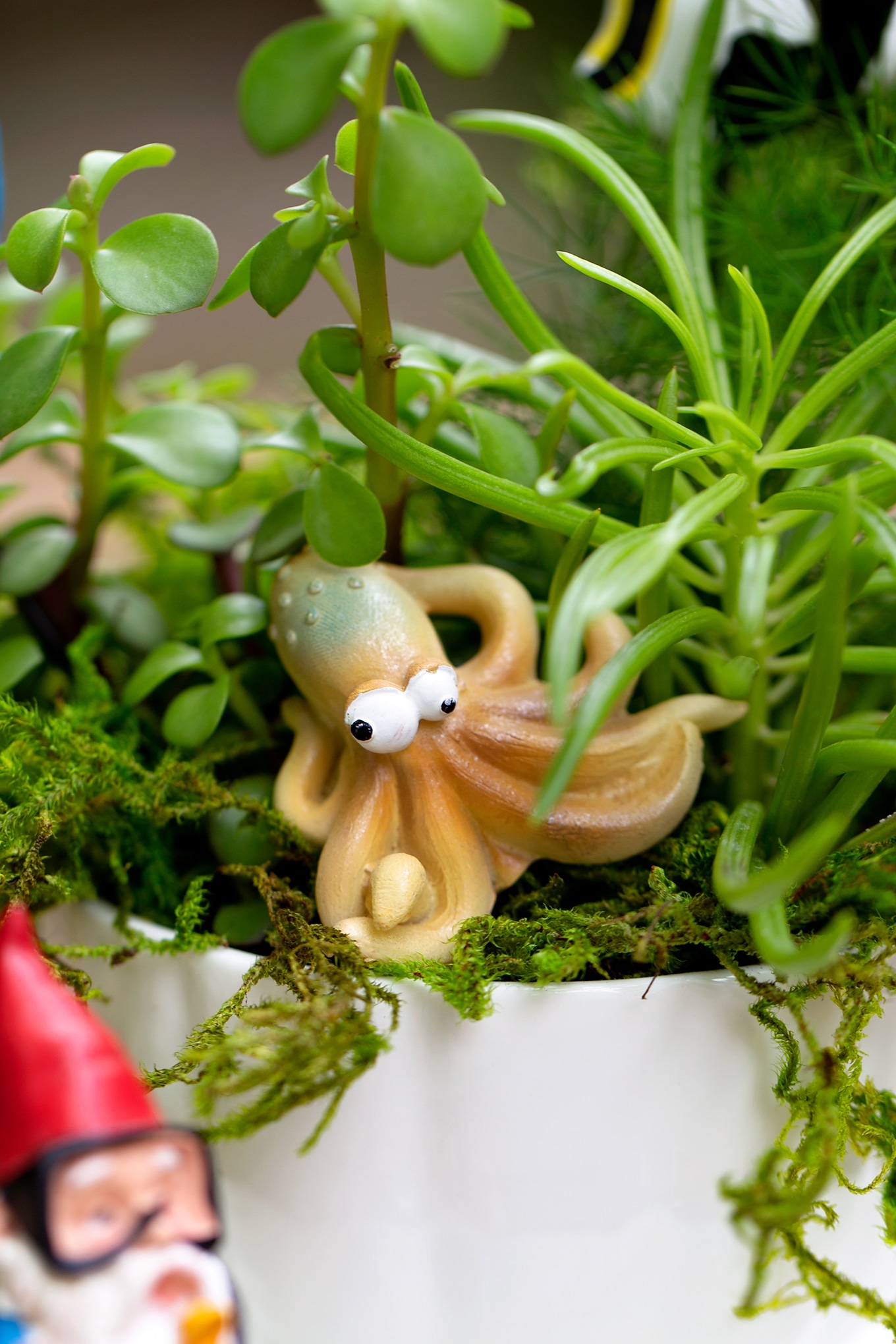 Summer is the perfect season for teacup fairy gardens! Whether kids are learning about the ocean, summer, gardening, or simply enjoying a creative nature activity at home, this easy and fun Under the Sea Teacup Garden is simply perfect for imaginative play. #teacupfairygarden #teacupfairygardenideas #howtomakeateacupfairygarden #summercraftideas #fairygarden #fairygardening #fairygardenkids Resin Octopus Tucked into Succulents and Moss
