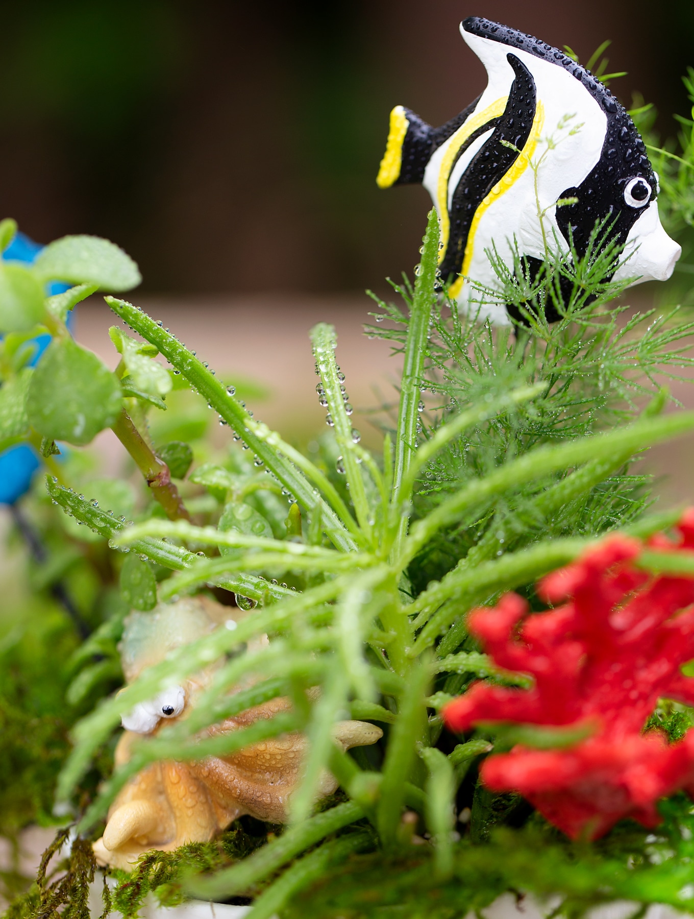Summer is the perfect season for teacup fairy gardens! Whether kids are learning about the ocean, summer, gardening, or simply enjoying a creative nature activity at home, this easy and fun Under the Sea Teacup Garden is simply perfect for imaginative play. #teacupfairygarden #teacupfairygardenideas #howtomakeateacupfairygarden #summercraftideas #fairygarden #fairygardening #fairygardenkids Freshly Watered Teacup Garden with Black and White Fish