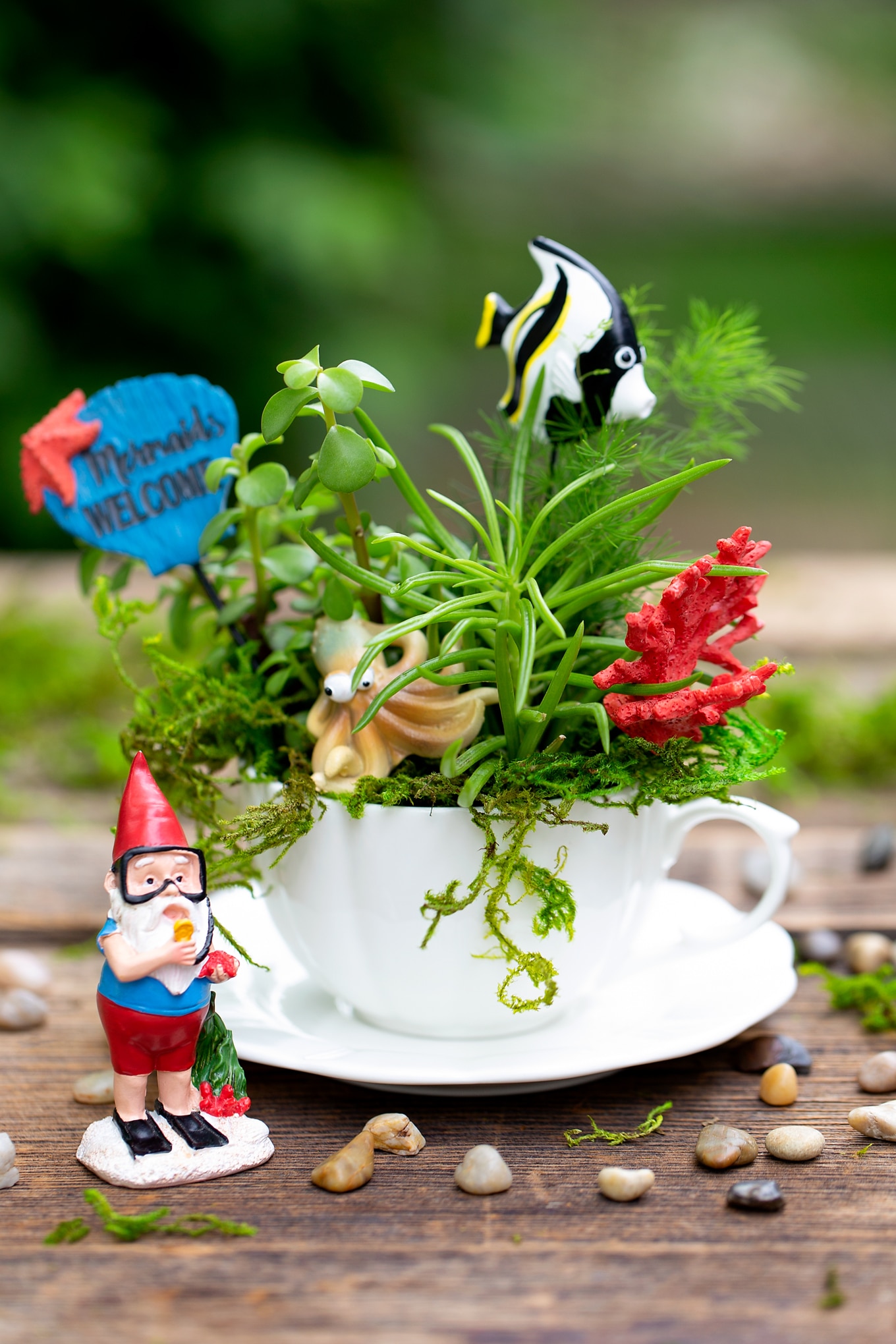 Summer is the perfect season for teacup fairy gardens! Whether kids are learning about the ocean, summer, gardening, or simply enjoying a creative nature activity at home, this easy and fun Under the Sea Teacup Garden is simply perfect for imaginative play. #teacupfairygarden #teacupfairygardenideas #howtomakeateacupfairygarden #summercraftideas #fairygarden #fairygardening #fairygardenkids How to Make an Under the Sea Teacup Garden
