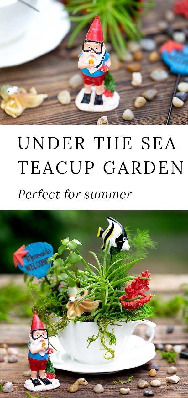 Summer is the perfect season for teacup fairy gardens! Whether kids are learning about the ocean, summer, gardening, or simply enjoying a creative nature activity at home, this easy and fun Under the Sea Teacup Garden is simply perfect for imaginative play. #teacupfairygarden #teacupfairygardenideas #howtomakeateacupfairygarden #summercraftideas #fairygarden #fairygardening #fairygardenkids