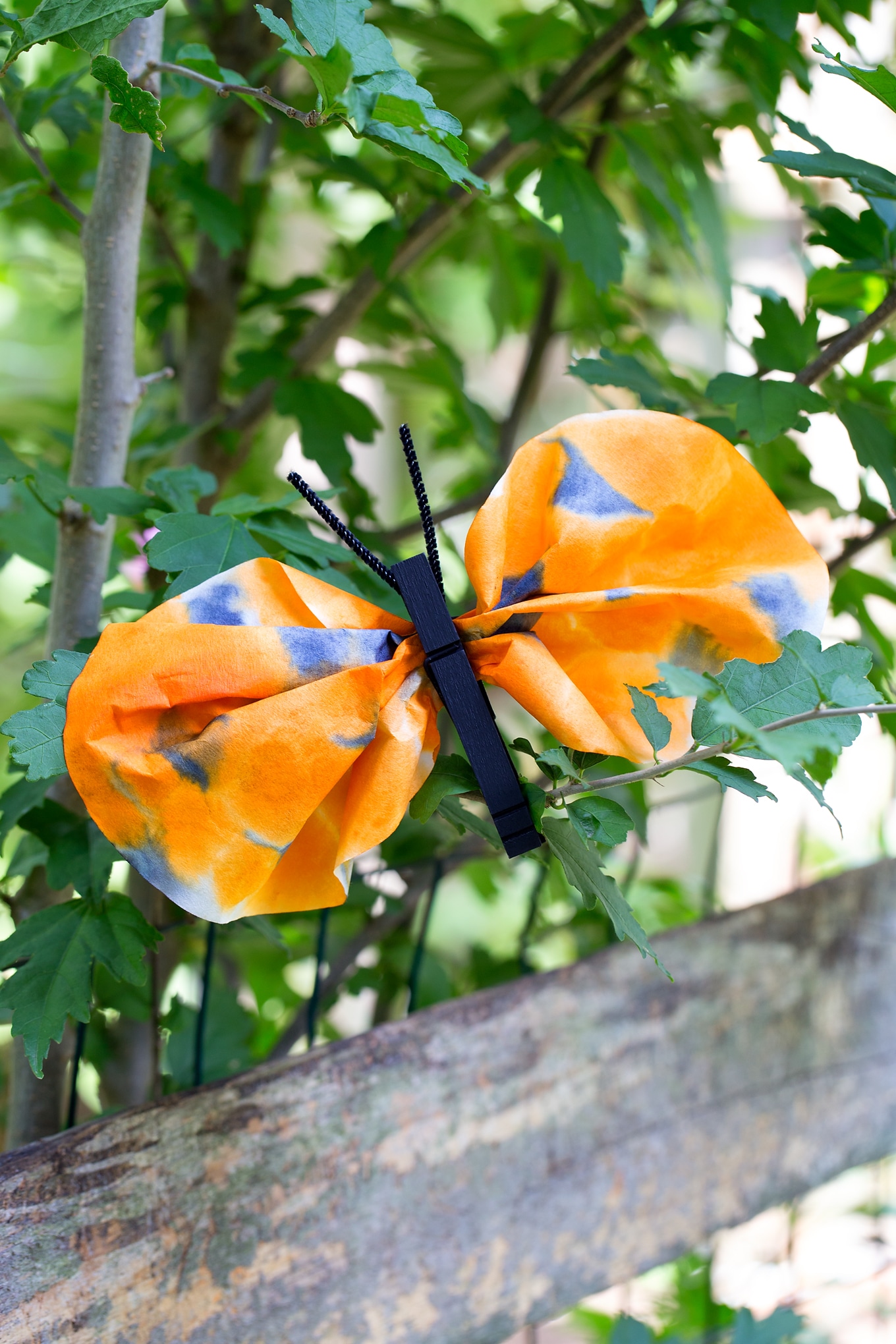 Easy and Fun Monarch Butterfly Craft for Kids