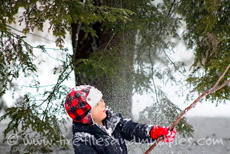 Whacking snow off a tree! | Fireflies and Mud Pies