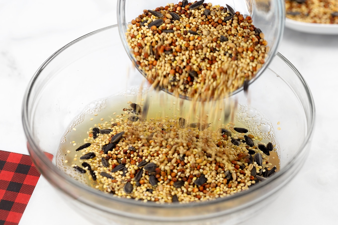 Mixing Birdseed with Gelatin and Water