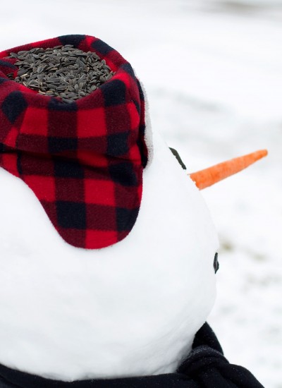 Winter Critter Snowman