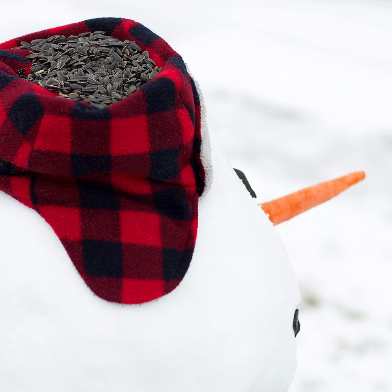 Bonhomme de neige portant un chapeau à carreaux rempli de graines pour oiseaux