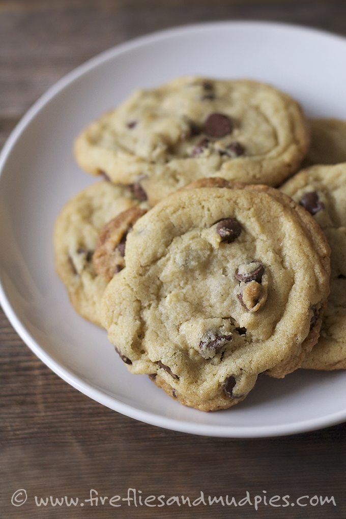 Perfect Chocolate Chip Cookies | Fireflies and Mud Pies