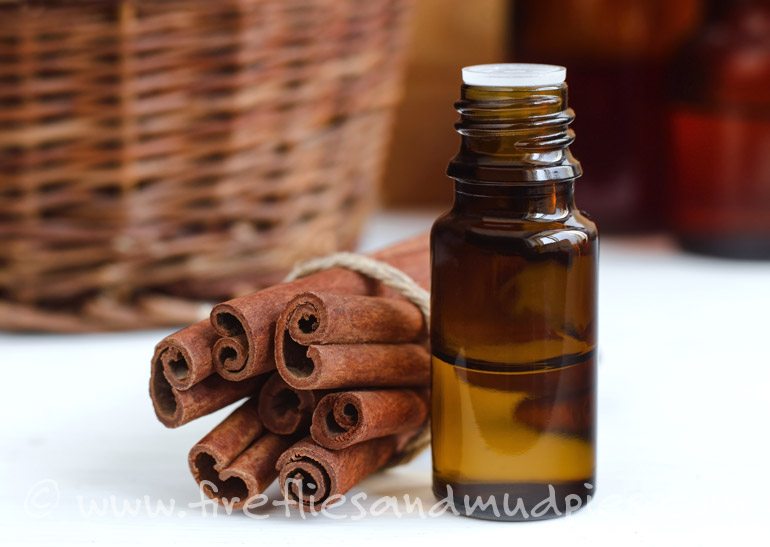 Fall Essential Oils | Fireflies and Mud Pies