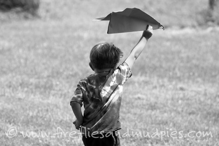 Flying through the sky | Fireflies and Mud Pies