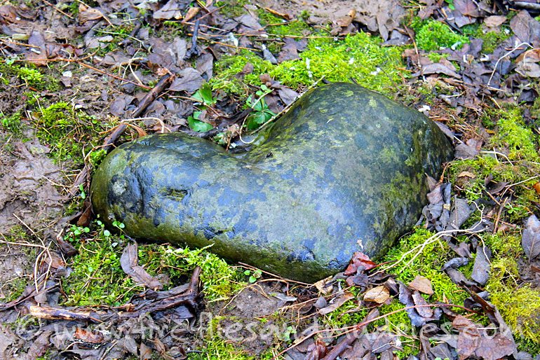 Heart Shaped Rock | Fireflies and Mud Pies