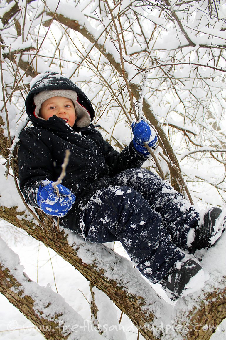 It's fun to climb trees in winter! | Fireflies and Mud Pies