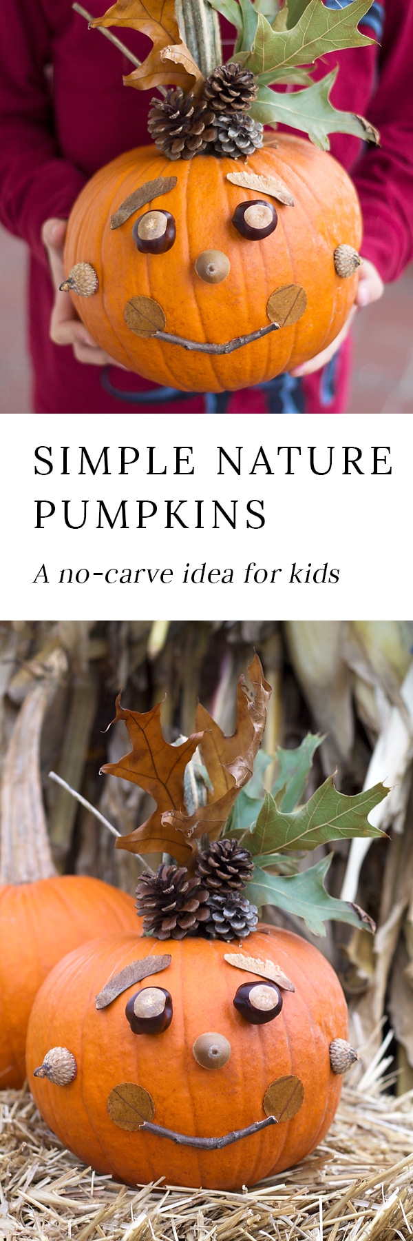 Kids will love creating a whimsical No-Carve Nature Pumpkin with pinecones, nuts, seeds, leaves, and twigs. Perfect autumn fun for families!
