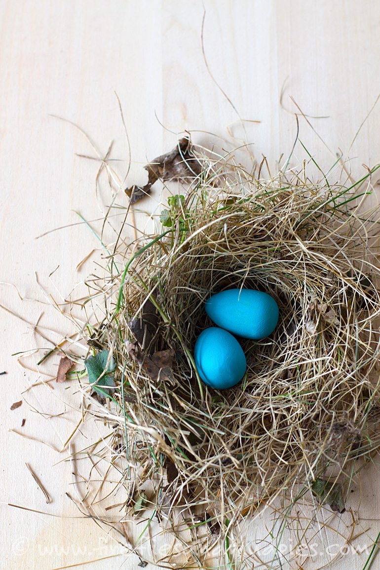 Painted Robin's Eggs | Fireflies and Mud Pies